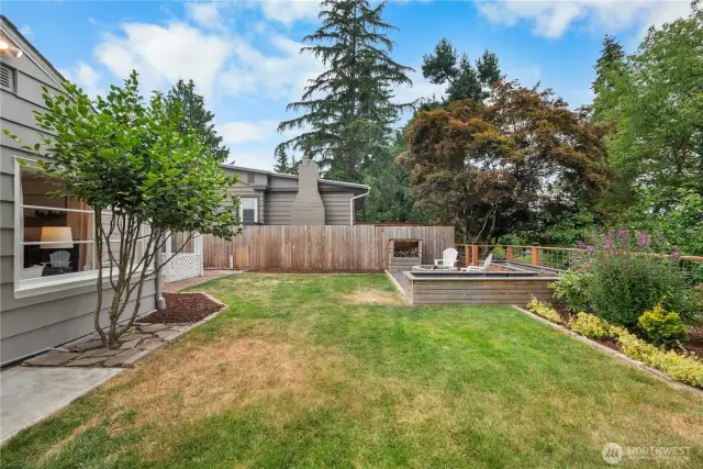 Sunny backyard.