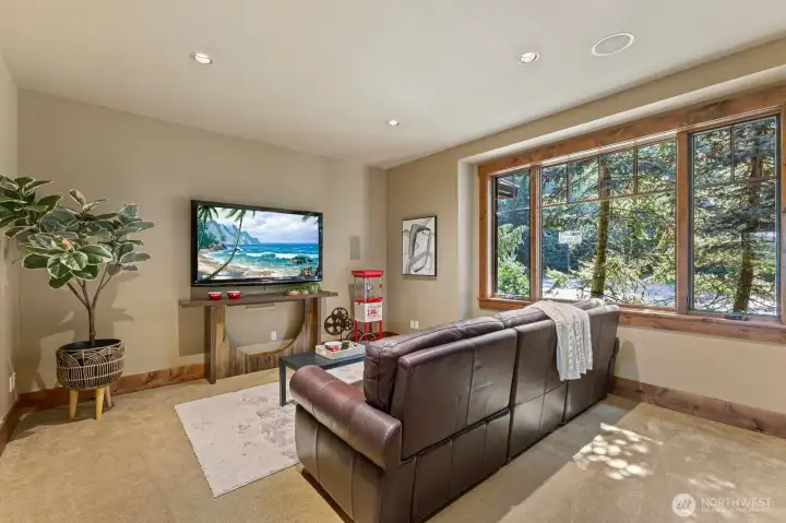 Theatre Room