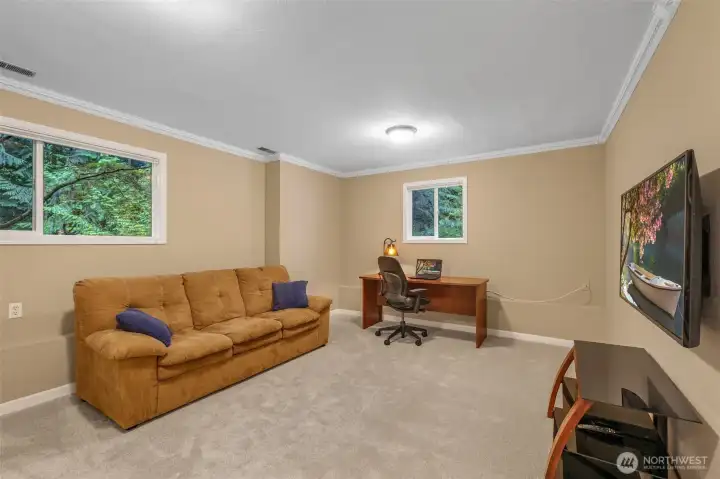 The spacious lower-level bonus room provides flexibility to fit your lifestyle. With multiple windows overlooking greenery, it’s an ideal spot for a recreation room, office, or home gym.