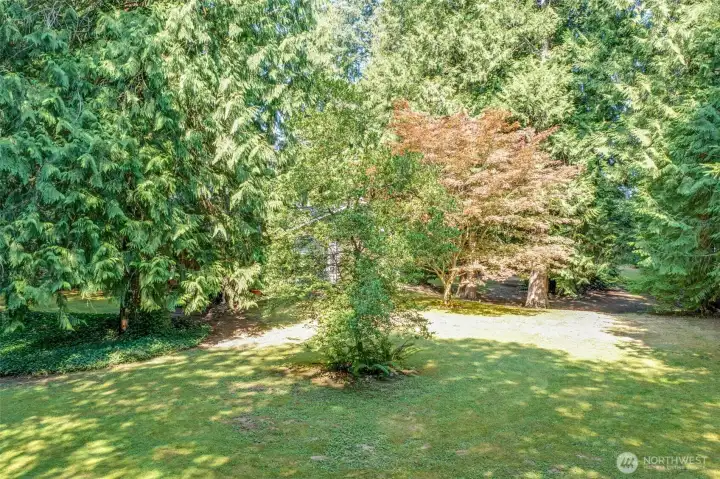 Another view of the property reveals a wide lawn framed by mature landscaping. The natural backdrop adds to the sense of privacy and retreat.