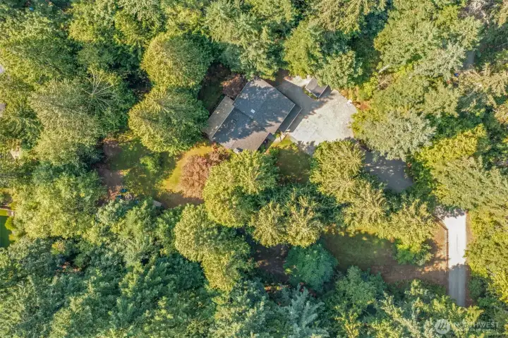An aerial perspective showcases the expansive 52,707 sq ft lot, with the home tucked into a canopy of evergreens. This bird’s-eye view highlights the private, park-like setting on the Sammamish Plateau.