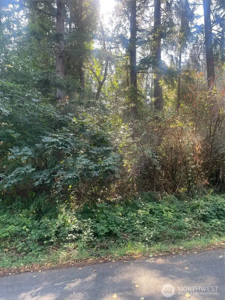 North property line on NE Dawn Rd