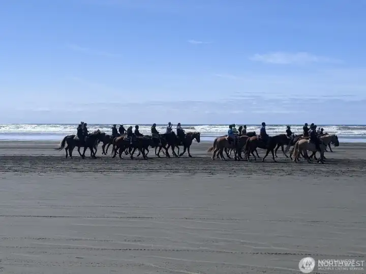 Take a horseback ride on the beach. Endless opportunities to enjoy