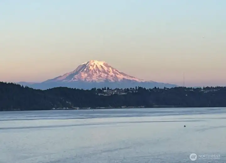 Great views of Mt Rainier
