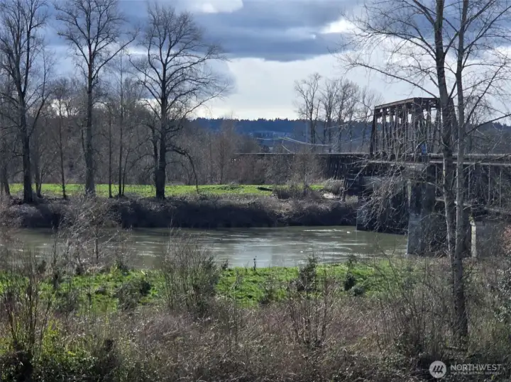 The View From The Back Balcony