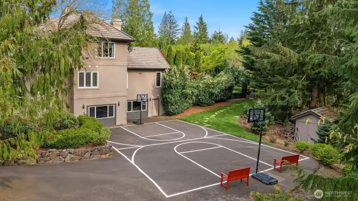 Sport court and driveway area to lower entrance