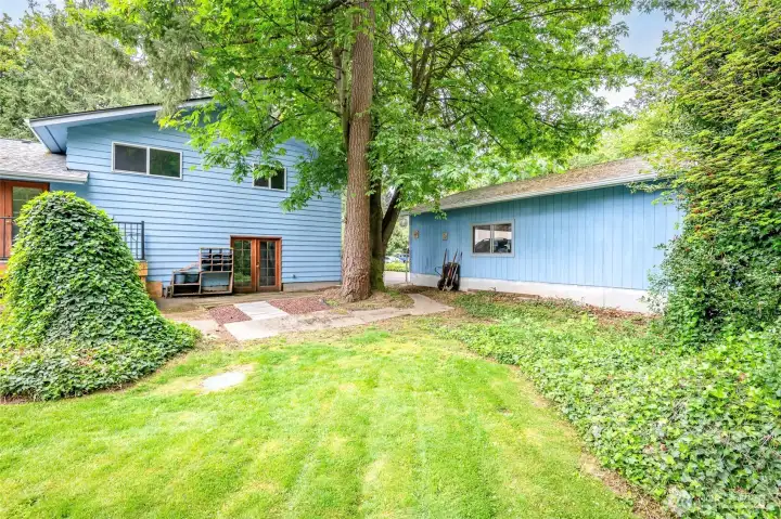 Back yard, showing detached shop.