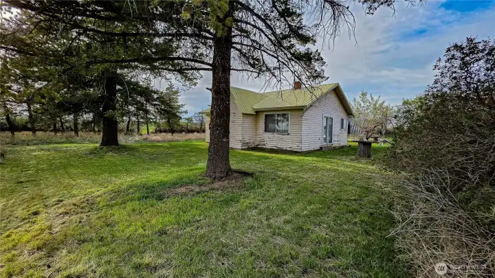 Looking NW from the SE corner of the home: The already large front yard offers incredible potential and can be expanded even further.