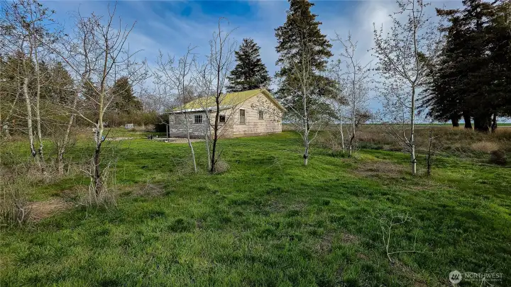 A standout feature is the presence of mature quaking aspens, which offer a cool, shaded escape from the heat and create the perfect secluded setting for entertaining guests. Looking SE from the NW corner of house.