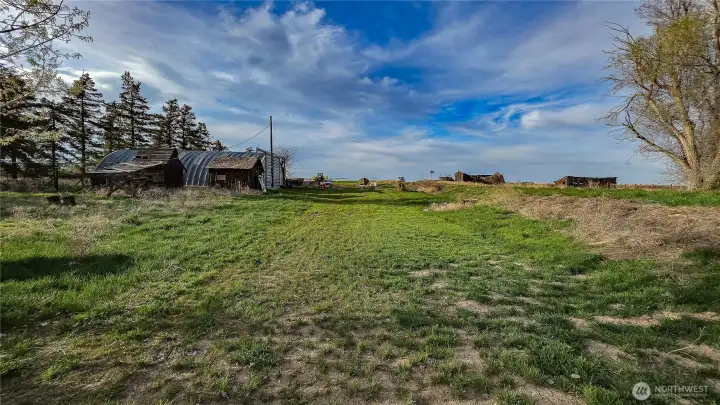 Looking North from the South side of the home: A large, sweeping driveway provides excellent access straight to the Quonset hut, making it perfectly positioned to reach the north end of the property with ease.
