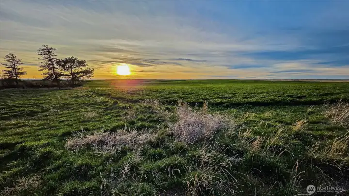 Looking NW from the NE end of the property: Waterville is known for having the best sunsets, and this expansive, peaceful lot provides the absolute perfect vantage point to take them in at the end of the day.