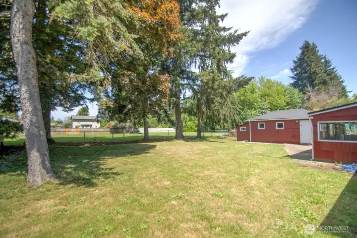 Large fenced in back yard