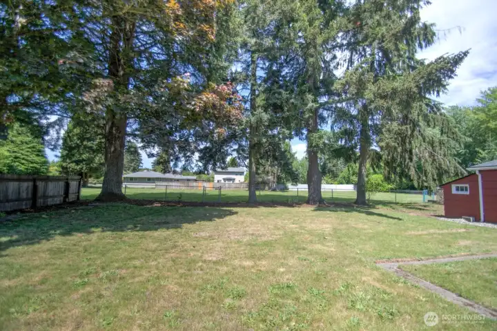 Large fenced in back yard with adjacent green belt