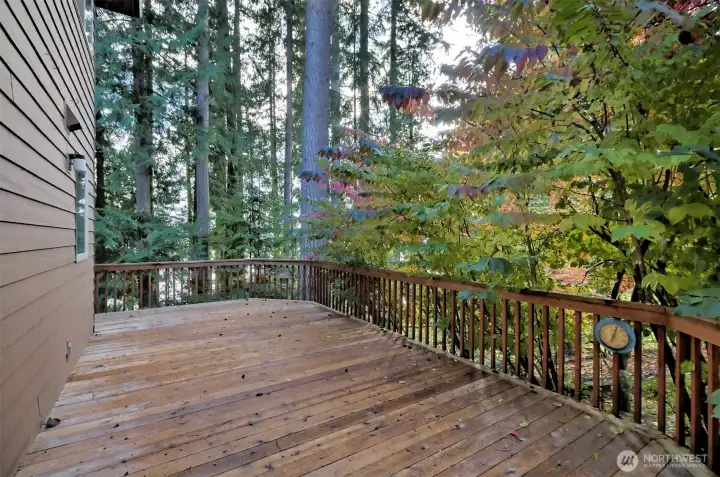 Large side deck - redone recently Large side deck - redone recently