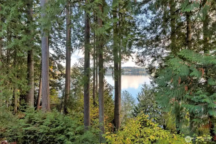 Unfortunately there is no direct access to the beach from this property. Unfortunately there is no direct access to the beach from this property.