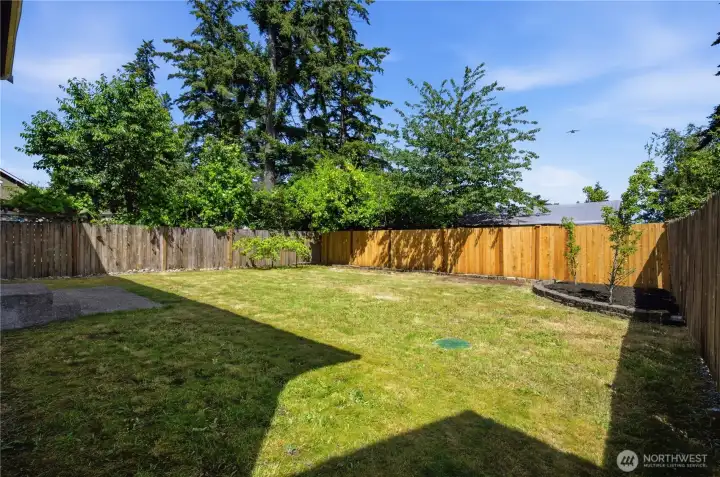 A yard that feels "just-right" in size