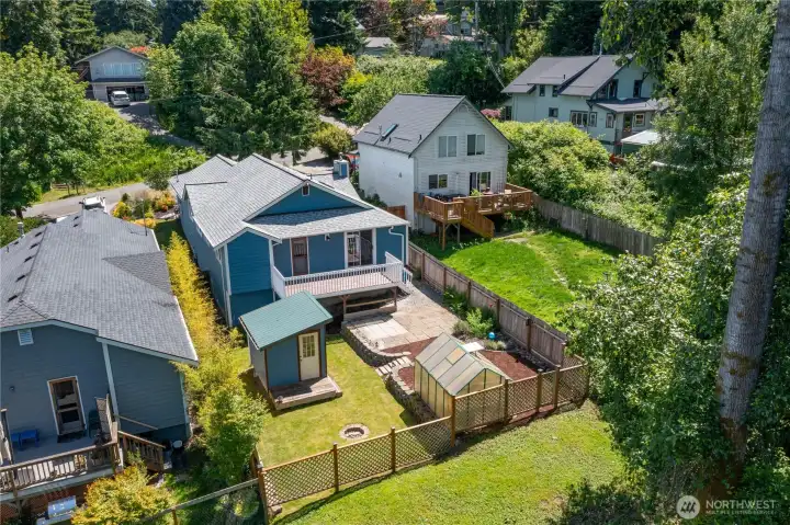 Backyard
