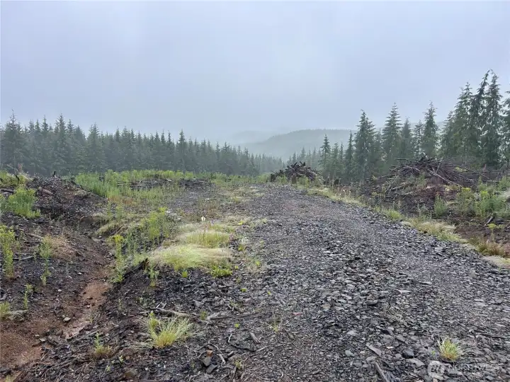 Acreage w/great interior roads