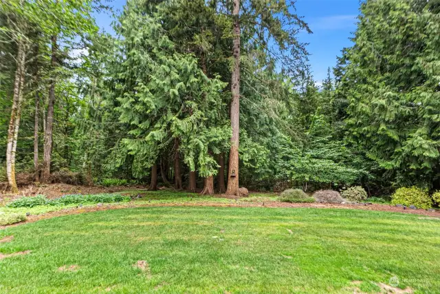 Backyard is private- green space along back of the property guarantee privacy going forward.