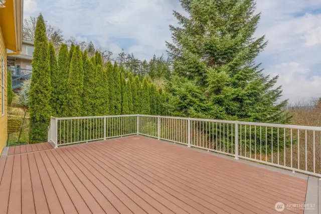 back deck