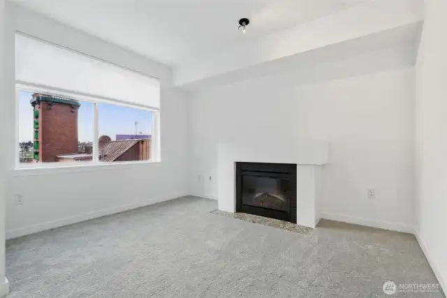 Gas fireplace and Ballard views.