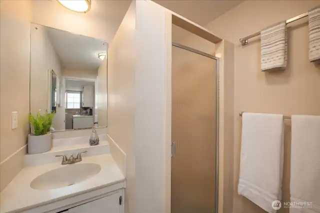 Bathroom on Lower Level.