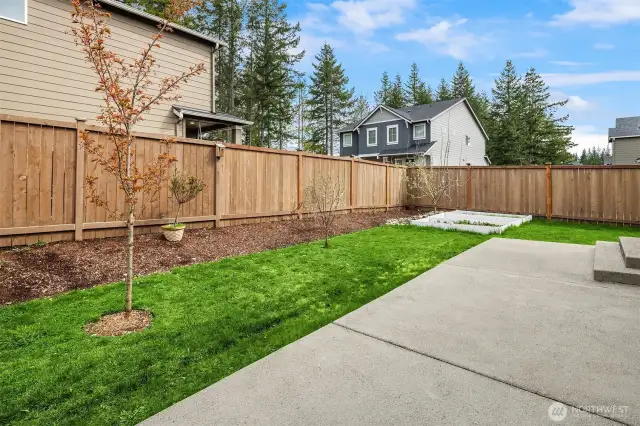 Nice patio area in the backyard for entertaining and play. Garden beds and Apple Tree!