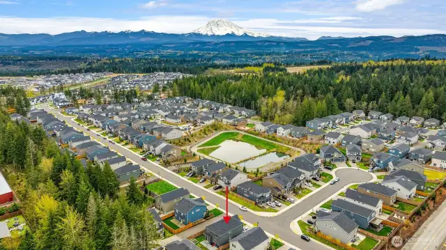 The homes is where the red arrow points to.  Nice views of Mt Rainier in the distance.  Community Play Areas for children.