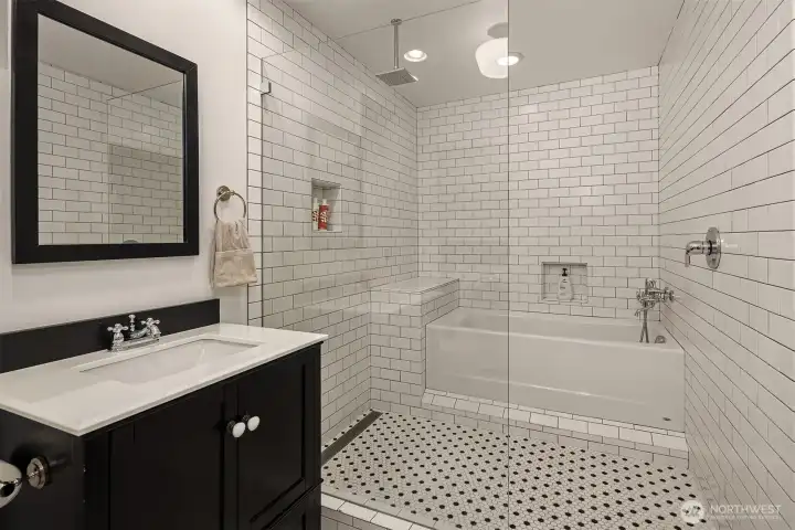 Lower level bathroom