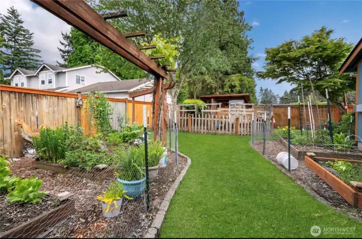 Gardens on the side yard