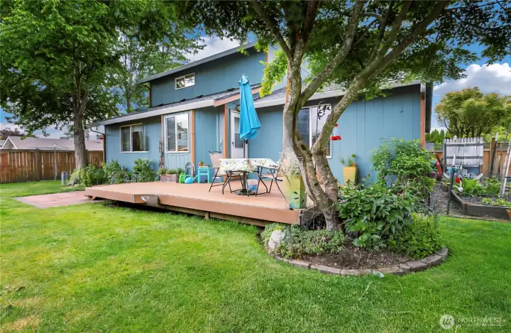 View of the backyard