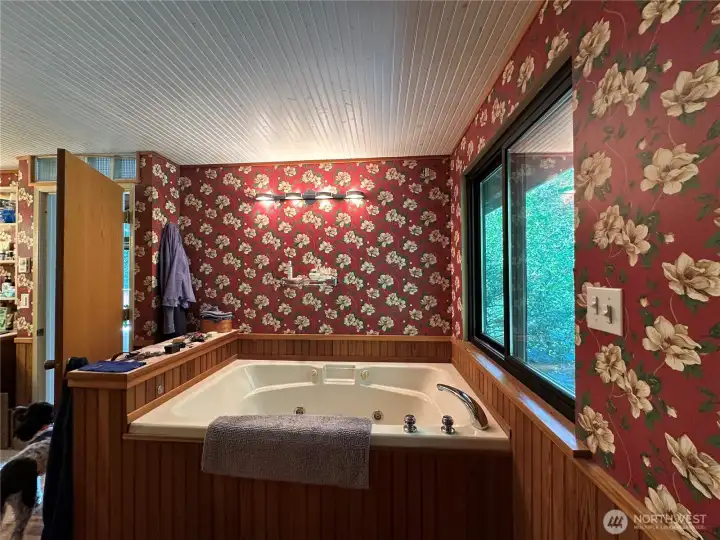 Primary bath tub