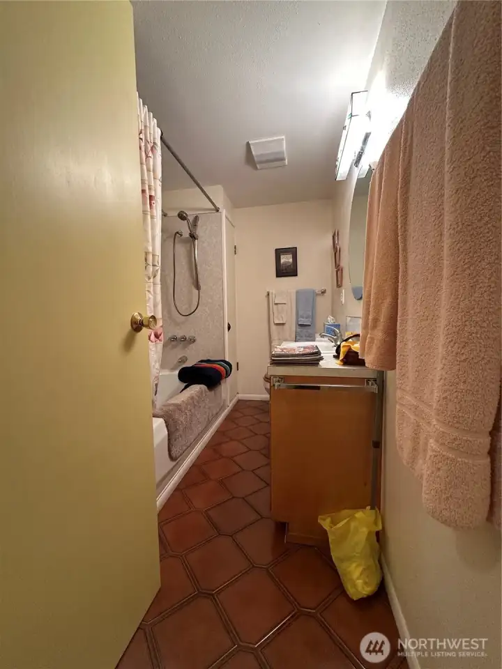 Lower level full bathroom