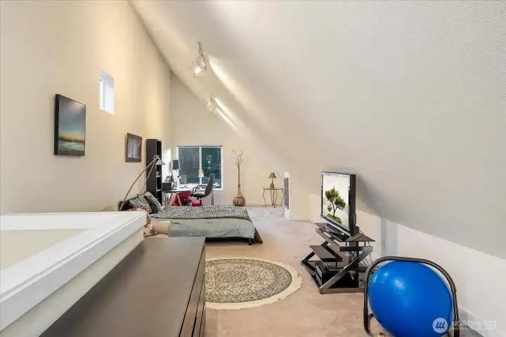 Flexible loft accommodates sleeping, entertainment, office, and more.