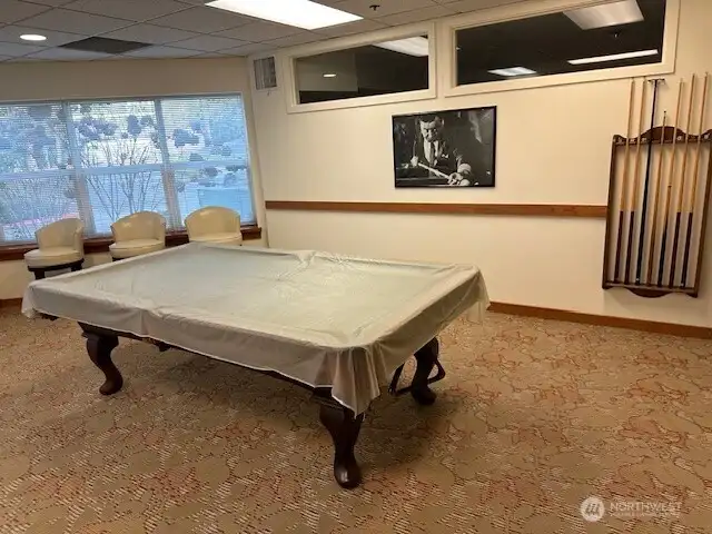 Ping pong and pool room