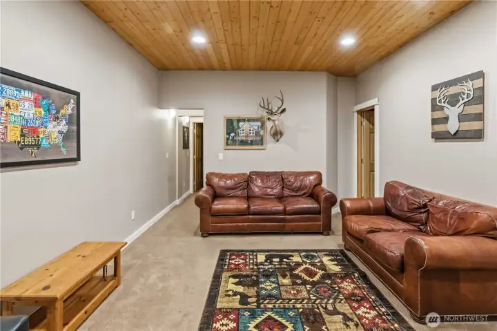 Family Room/Rec Room at Lower Level