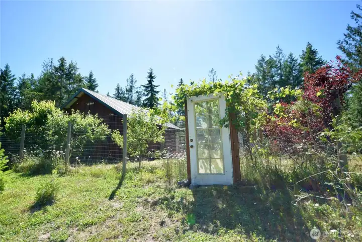 gate to chicken area & fruit trees
