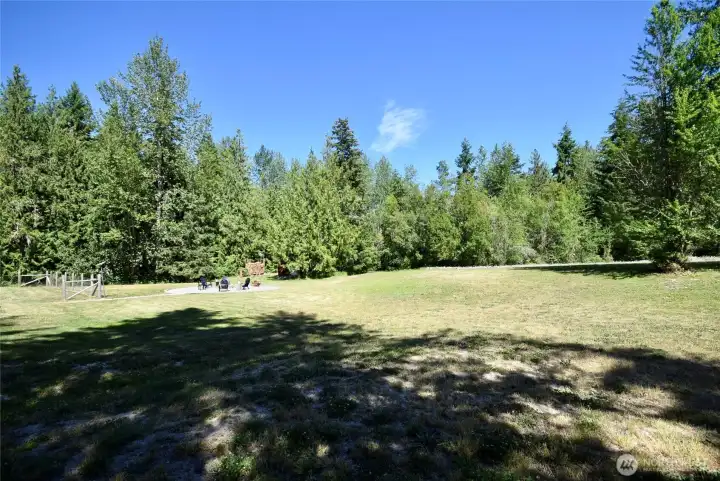 view from tree area