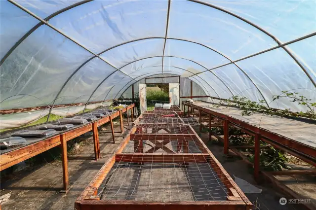 The green house has benches and is ready to grow