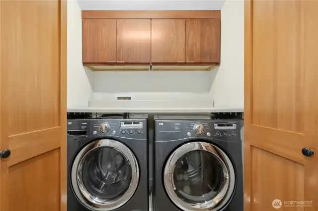 LG ultra-capacity high-efficiency washer and dryer in dedicated laundry area
