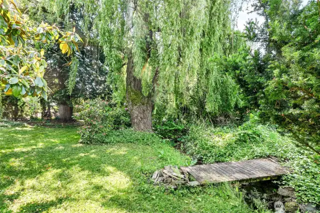 Creek with bridge