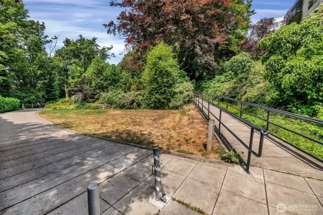 Ready to explore Kinnear Park with your dog?