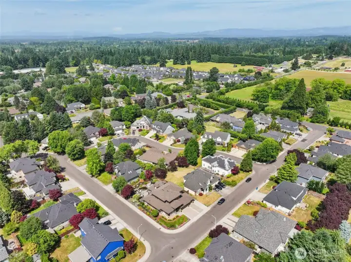 if you look in the distance you can see mount st helens, also observe the large lots in this subdivision.