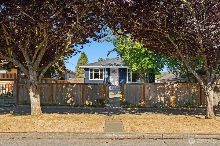 Perfectly framed by the trees on this beautiful street!