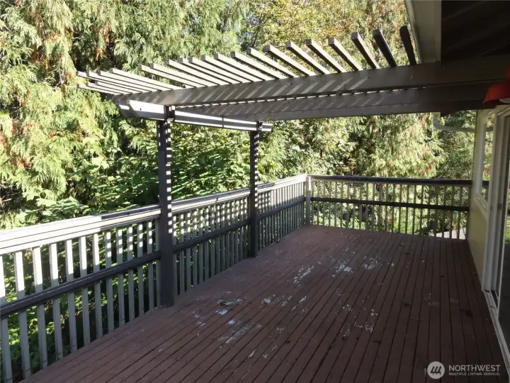 Large deck off family room. Nice!