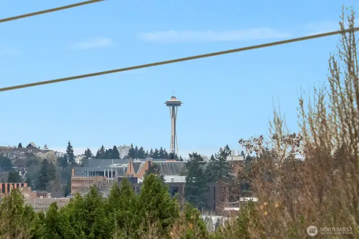 Amazing views from rooftop deck