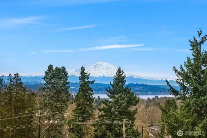 Amazing views from rooftop deck