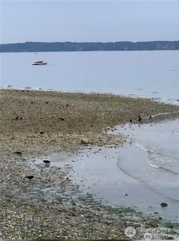 Walk the beach.