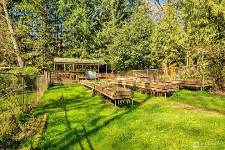 1438 Ann St NE - Orchard/Garden