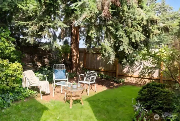 Lush backyard. Virtual furniture.